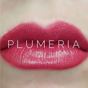 LipSense long lasting liquid lip color